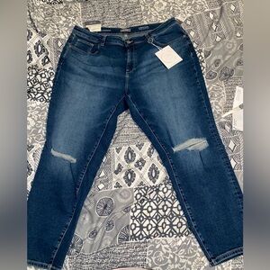 NWT DL1961 Women’s Jeans 22W Skinny High Rise